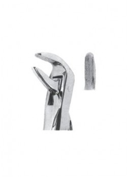 Extracting Forceps